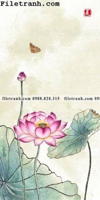 Hình ảnh file gốc in trần nhà bong hoa sen trung quoc 162