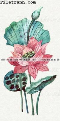 Download file gốc bong hoa sen trung quoc 166 (in mica) logo