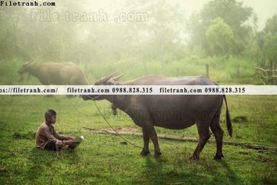 File gốc buc anh chup anh phong canh thon que 105 (chuẩn CMYK) cho nhà in