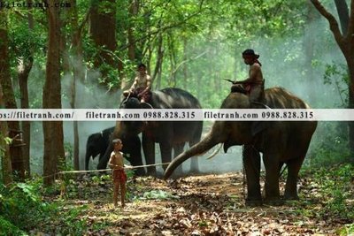 File in ấn buc anh chup anh phong canh thon que 114 (bản gốc) cao cấp