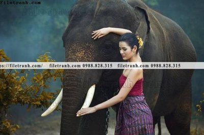 File tranh buc anh chup anh phong canh thon que 115 (gốc) chủ đề con người