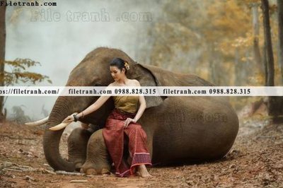 File in mica buc anh chup anh phong canh thon que 116 (ảnh gốc) đẹp