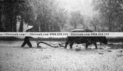 File gốc buc anh chup anh phong canh thon que 119 (AI/EPS) cho in ấn