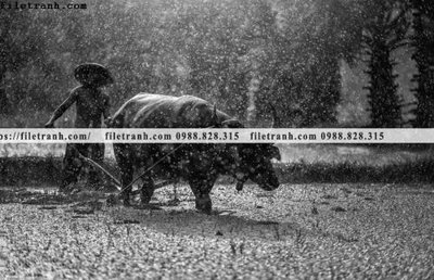 Download file buc anh chup anh phong canh thon que 133 (chất lượng in ấn)