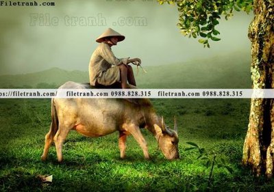 File in trần buc anh chup anh phong canh thon que 148 (bản gốc) đại dương