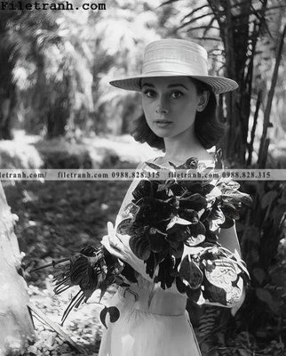 Tải file tranh gốc buc anh cua Audrey Hepburn 167 chất lượng cao