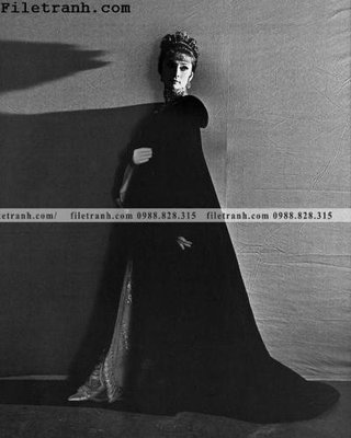 Tệp tin gốc buc anh cua Audrey Hepburn 179 (chất lượng cao) buc anh cua Audrey Hepburn 179