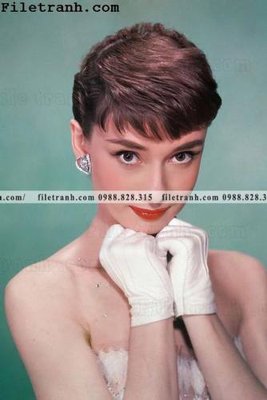 File tranh buc anh cua Audrey Hepburn 194 (ảnh gốc) độ nét vượt trội