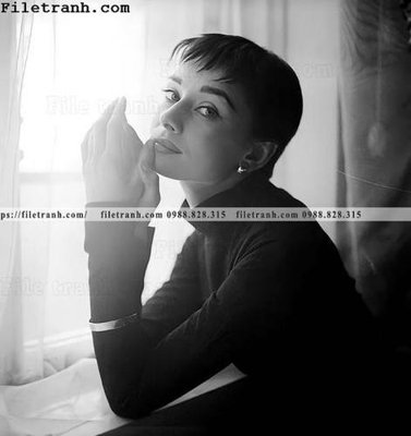 File tranh buc anh cua Audrey Hepburn 200 (gốc) chủ đề trừu tượng