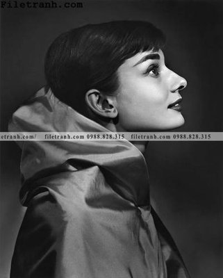 File in trần buc anh cua Audrey Hepburn 208 (bản gốc 3D) sống động