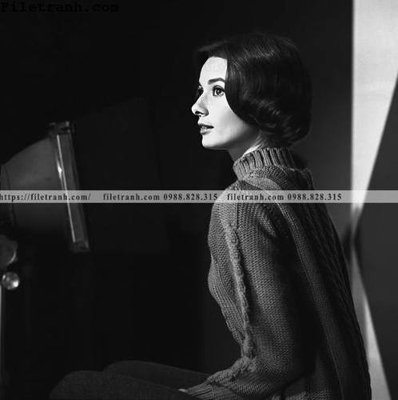 File gốc buc anh cua Audrey Hepburn 217 (PNG) chất lượng cao