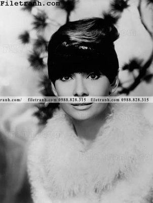 File in lụa buc anh cua Audrey Hepburn 223 (chất lượng cao) buc anh cua Audrey Hepburn 223