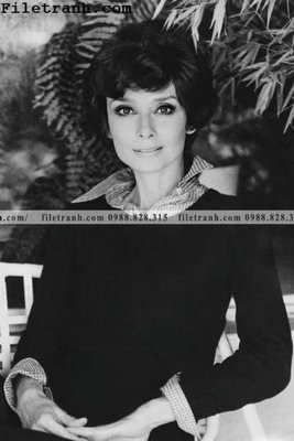 File tranh buc anh cua Audrey Hepburn 226 (bản gốc) in lụa dán tường