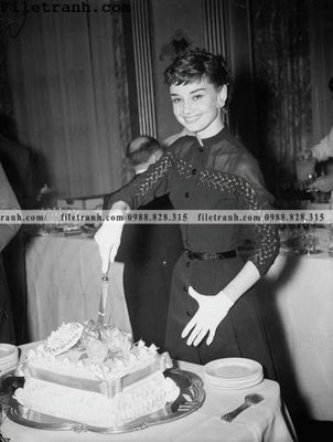 File gốc buc anh cua Audrey Hepburn 243 (in mica) làm quà tặng