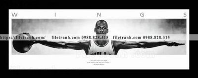 Mua file gốc buc anh cua NBA Jordan 101 (chất lượng) tại Filetranh.com