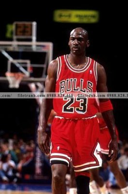 Ảnh gốc buc anh cua NBA Jordan 164 (độ nét cao) in tráng gương