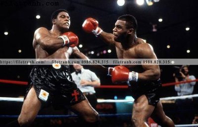 File tranh PSD buc anh cua nha vo dich quyen anh Ali Tyson 107 chất lượng cao