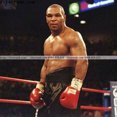 File PSD buc anh cua nha vo dich quyen anh Ali Tyson 118 (gốc) cho in quảng cáo