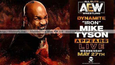 File PSD buc anh cua nha vo dich quyen anh Ali Tyson 139 (gốc) cho designer