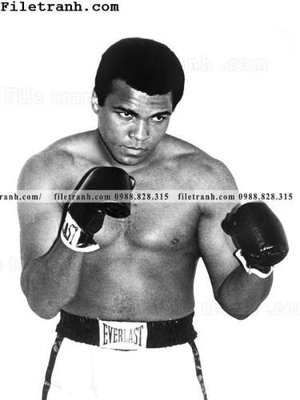 Tải file tranh buc anh cua nha vo dich quyen anh Ali Tyson 175 (ảnh gốc) ngay