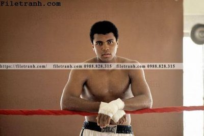 Tải file tranh buc anh cua nha vo dich quyen anh Ali Tyson 202 (ảnh gốc) ngay