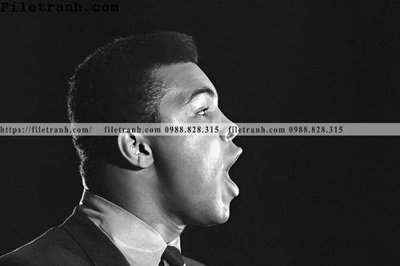 File gốc in ấn buc anh cua nha vo dich quyen anh Ali Tyson 208 (sẵn sàng tải về)