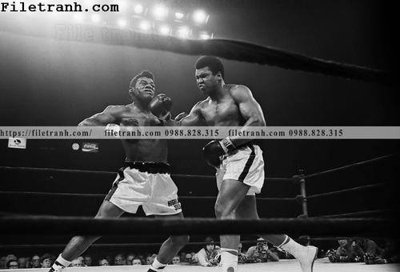 Tải file gốc buc anh cua nha vo dich quyen anh Ali Tyson 215 (in tráng gương) siêu đẹpFile tranh gốc buc anh cua nha vo dich quyen anh Ali Tyson 215 chất lượng cao