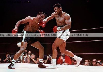 Download file gốc buc anh cua nha vo dich quyen anh Ali Tyson 218 (in lụa) tranh 3D