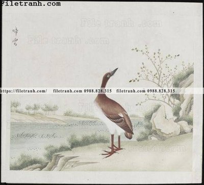 Tệp tin gốc buc anh hoa co chim muong mau sac nhe nhang 111 (chất lượng cao) buc anh hoa co chim muong mau sac nhe nhang 111