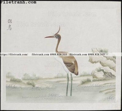 File gốc buc anh hoa co chim muong mau sac nhe nhang 113 (ảnh rõ nét) để in