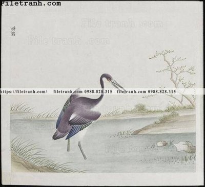 Mua file gốc buc anh hoa co chim muong mau sac nhe nhang 118 (chất lượng) tại Filetranh.com