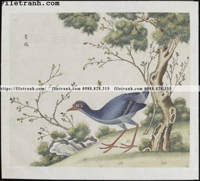 File PSD buc anh hoa co chim muong mau sac nhe nhang 122 (nguyên gốc) chất lượng cao