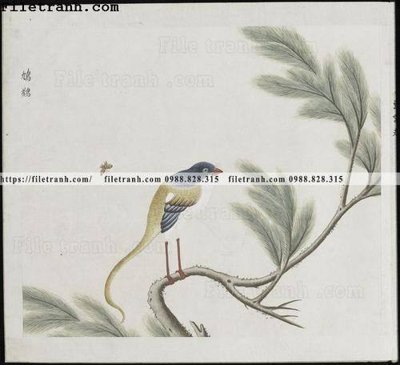 Download file ảnh gốc buc anh hoa co chim muong mau sac nhe nhang 136 để in ấn