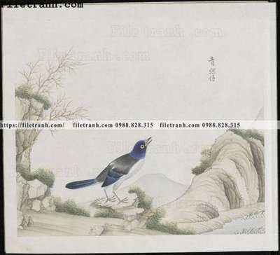 Tải file buc anh hoa co chim muong mau sac nhe nhang 140 (ảnh gốc) in tráng gương