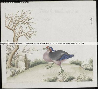 Tệp tin gốc buc anh hoa co chim muong mau sac nhe nhang 146 (chất lượng cao) buc anh hoa co chim muong mau sac nhe nhang 146