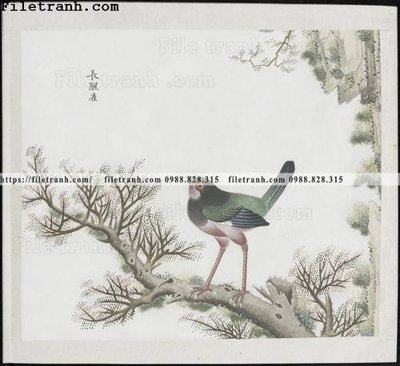 File gốc buc anh hoa co chim muong mau sac nhe nhang 165 (PSD/TIFF) độ phân giải cao