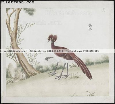 Download file buc anh hoa co chim muong mau sac nhe nhang 185 (chất lượng in ấn)