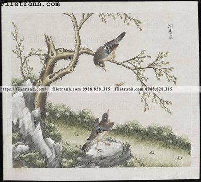 File gốc buc anh hoa co chim muong mau sac nhe nhang 201 (PNG) nền trong suốt