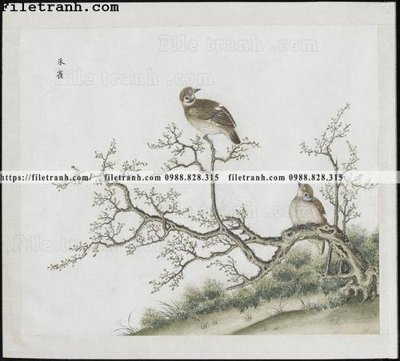 Ảnh gốc buc anh hoa co chim muong mau sac nhe nhang 220 (nét căng) in mica