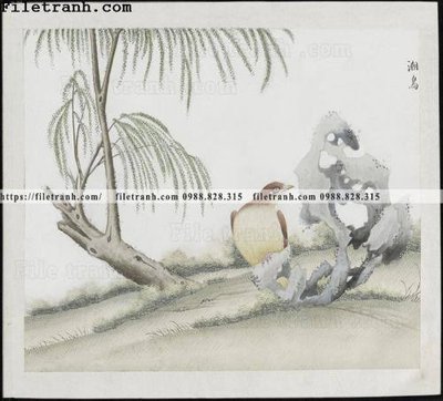 File gốc buc anh hoa co chim muong mau sac nhe nhang 223 (PNG) trong suốt (transparent)