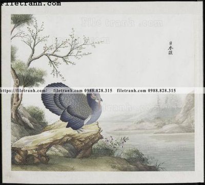 File in mica buc anh hoa co chim muong mau sac nhe nhang 228 (bản gốc) làm vách ngăn