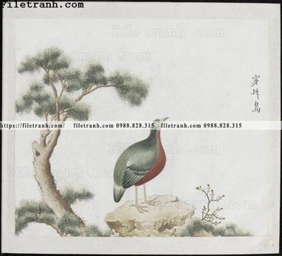 Tải file gốc buc anh hoa co chim muong mau sac nhe nhang 233 (in khổ lớn) không vỡ