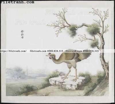 File tranh buc anh hoa co chim muong mau sac nhe nhang 240 (ảnh gốc) in trần 3D