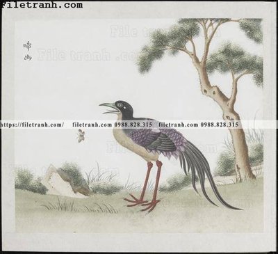 Tệp tin gốc buc anh hoa co chim muong mau sac nhe nhang 262 (chất lượng cao) buc anh hoa co chim muong mau sac nhe nhang 262