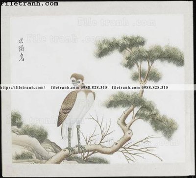 File in ấn cao cấp buc anh hoa co chim muong mau sac nhe nhang 264 (file gốc)