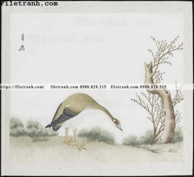 File in trần buc anh hoa co chim muong mau sac nhe nhang 267 (bản gốc) đại dương