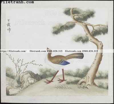 File ảnh buc anh hoa co chim muong mau sac nhe nhang 284 (gốc) in biển hiệu