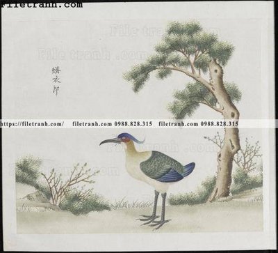 Download file gốc buc anh hoa co chim muong mau sac nhe nhang 302 (in lụa) cao cấp