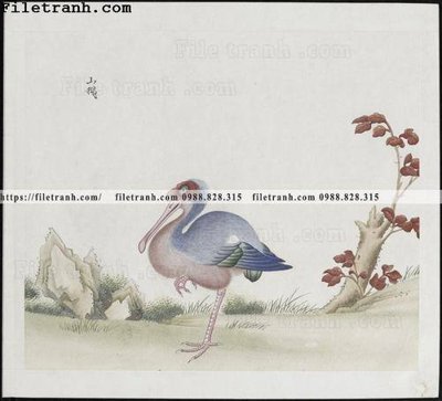 Tải file buc anh hoa co chim muong mau sac nhe nhang 307 (ảnh gốc) in gạch men