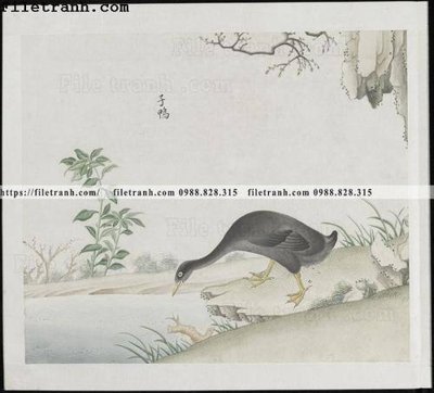 Tệp tin gốc buc anh hoa co chim muong mau sac nhe nhang 310 (dùng cho in) buc anh hoa co chim muong mau sac nhe nhang 310